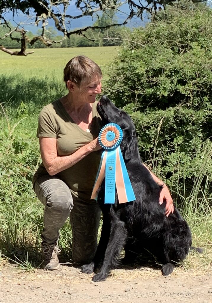 dog and person with ribbon