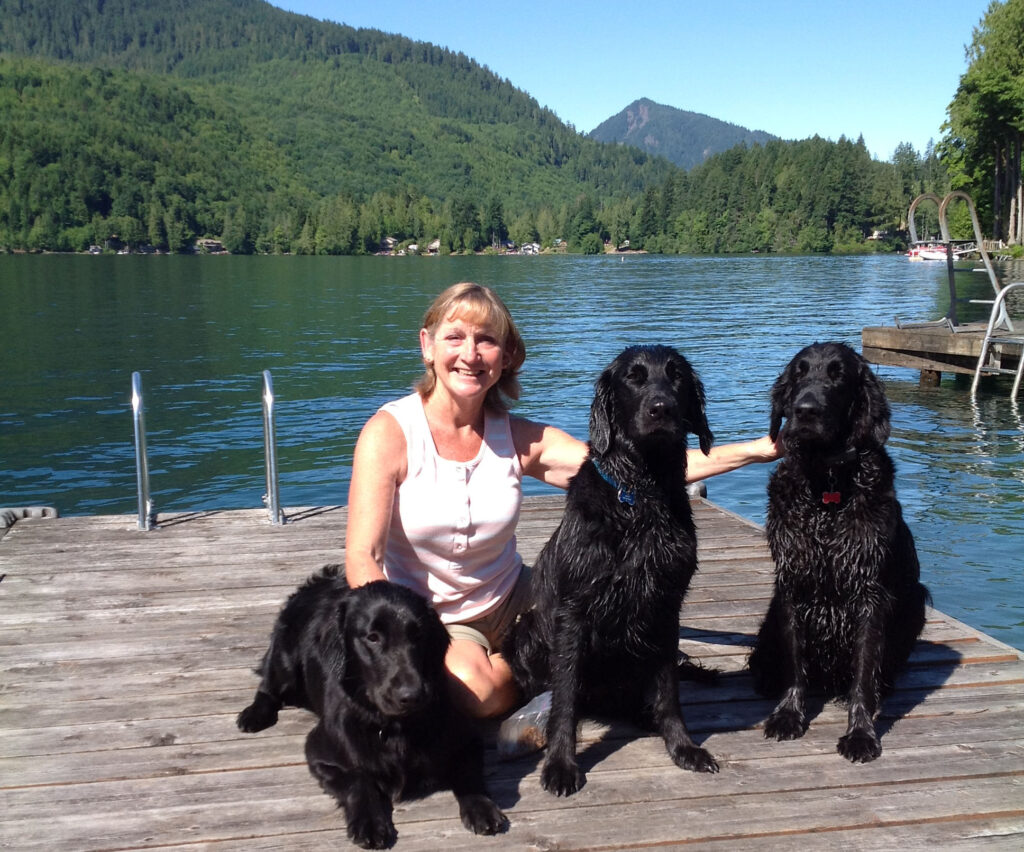 three dogs on dock